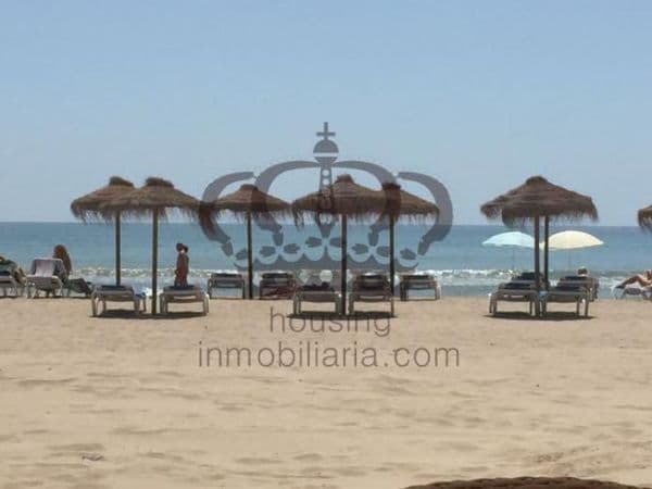 Heladería a pie de playa - Imagen 3