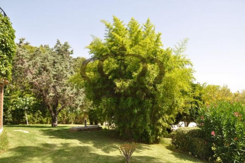 Masía en Betera - Imagen 4