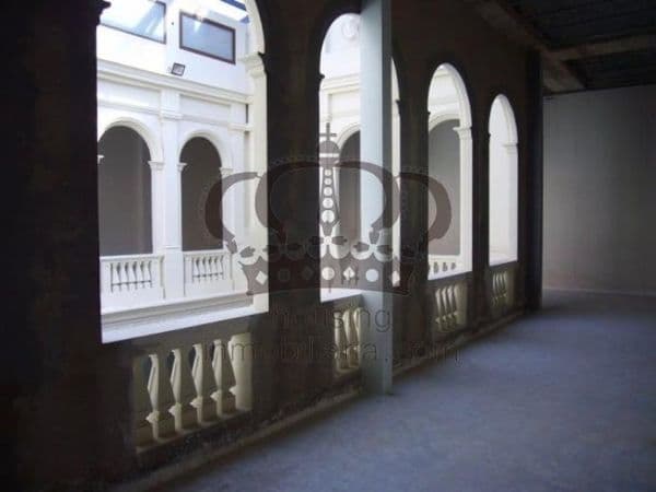 Gran local finca señorial - Imagen 6